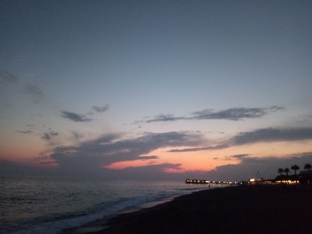 Photo #3106806