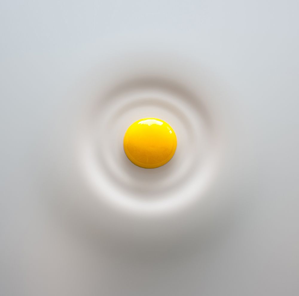 Egg