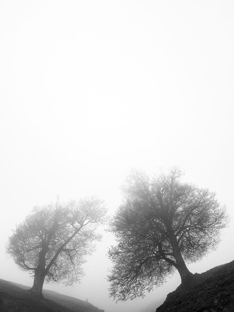 Minimal