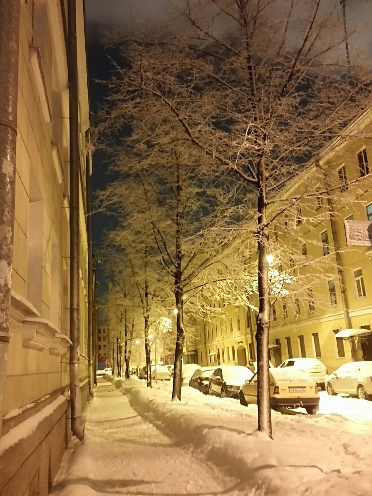 Тихий вечер