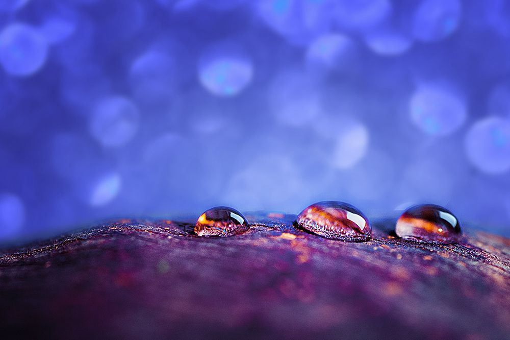 Photograph by Юлиана Джус