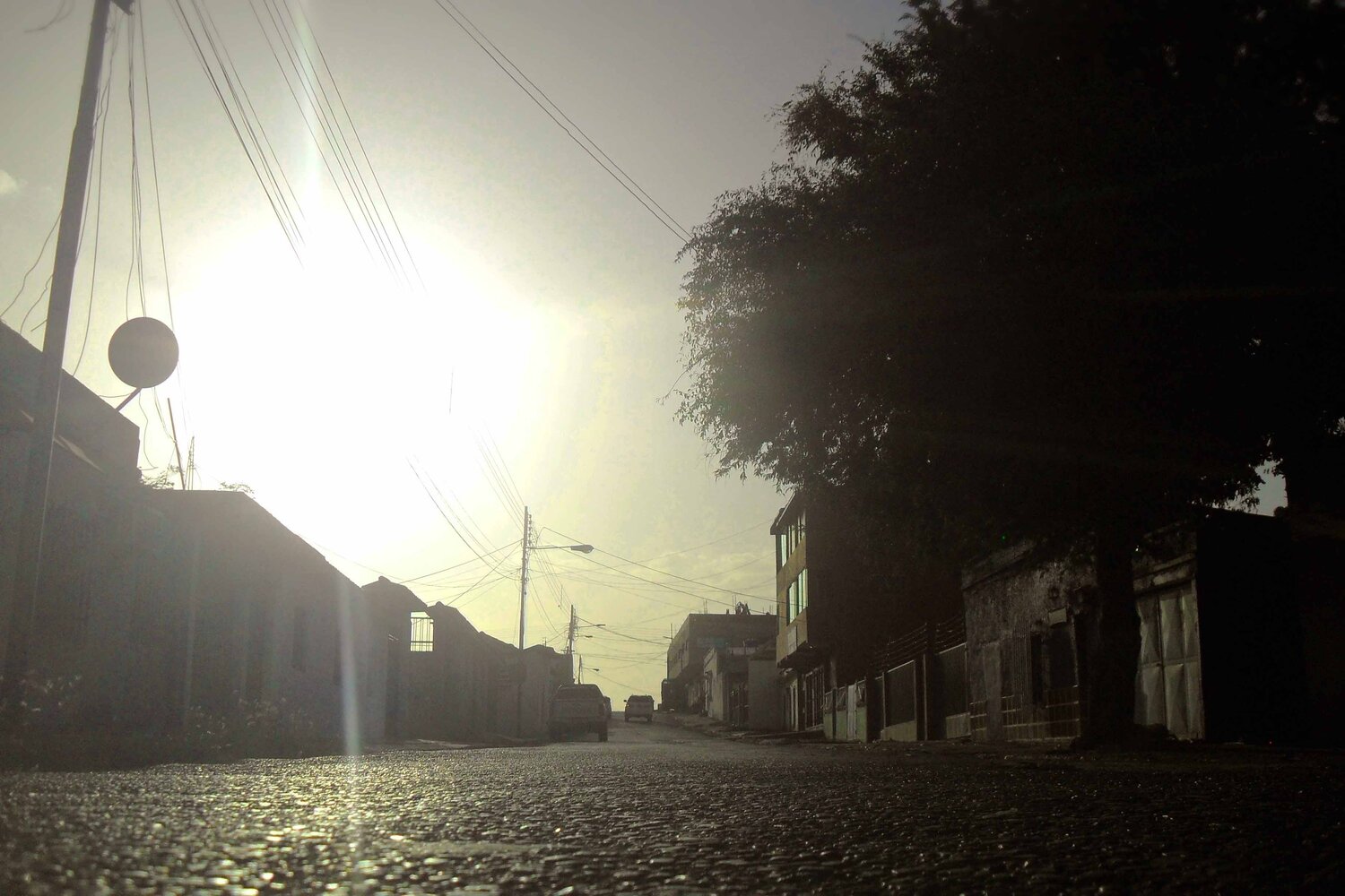 AvEnuE
