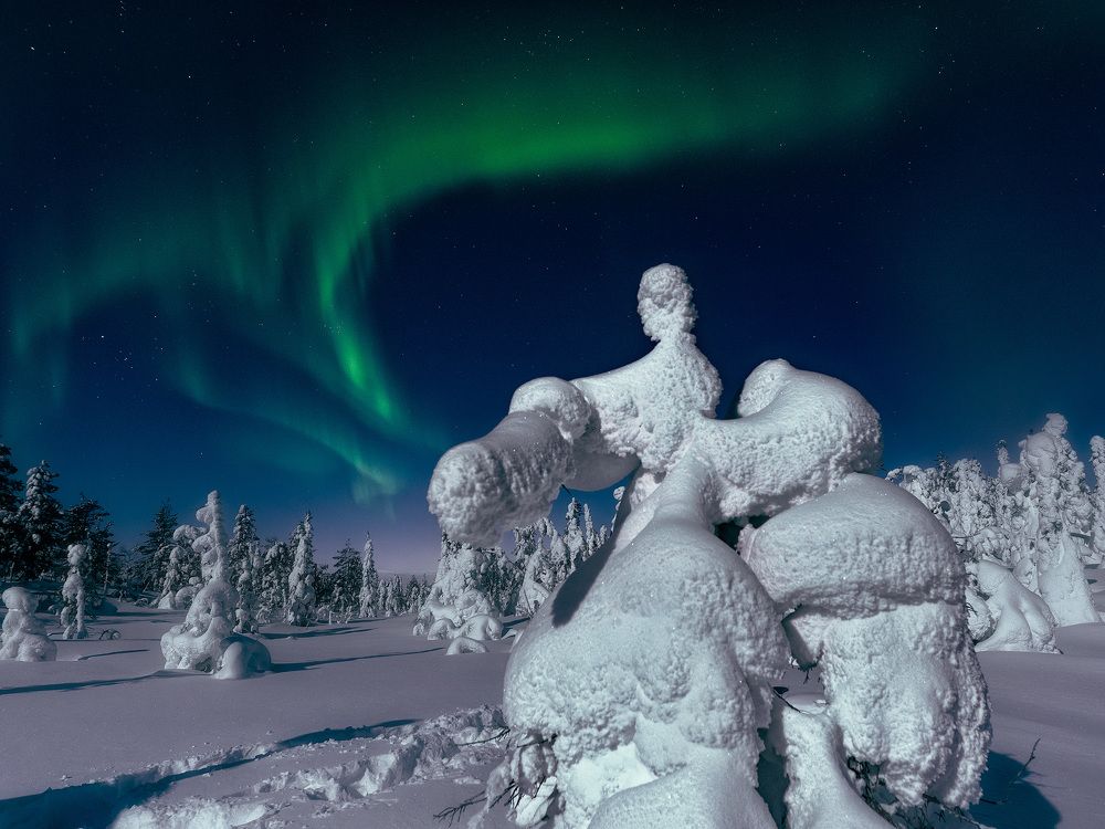 Photograph by Андрей Баскевич