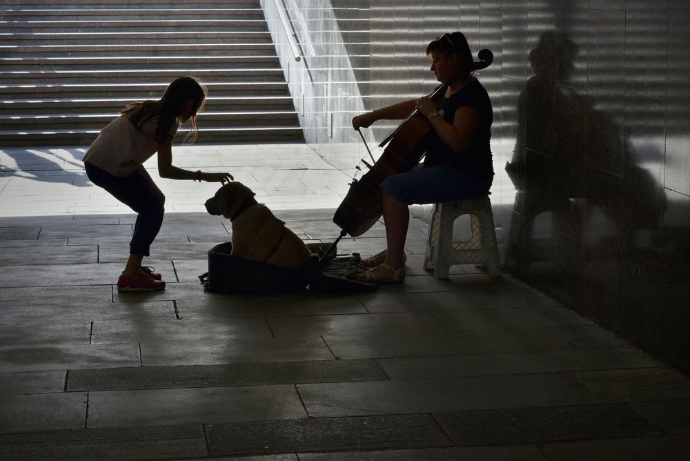 ВИОЛОНЧЕЛЬ