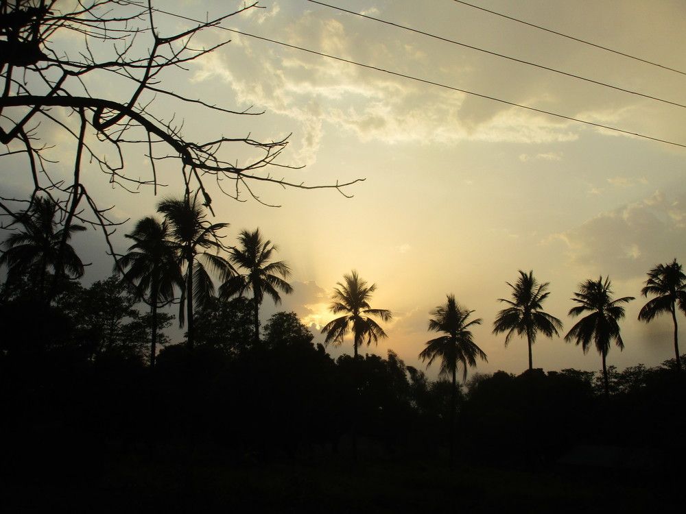 Eve pic