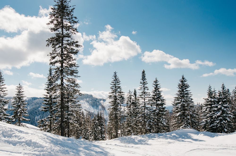 Дальневосточные пейзажи