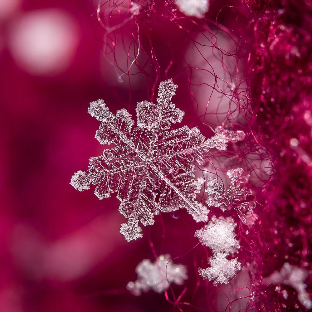 Фотография автора Dolli Pogrebnaya