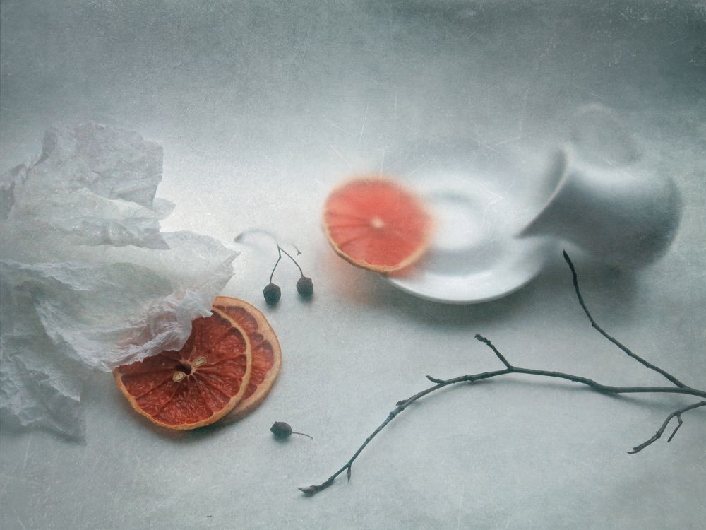 Фотография автора Елена Лысенко