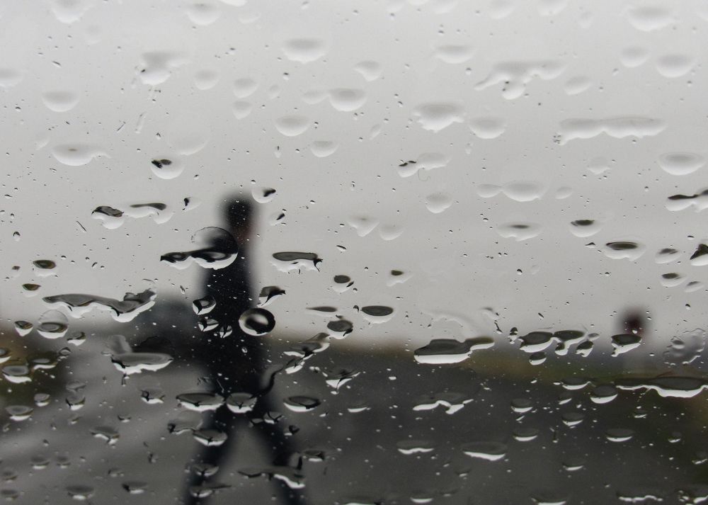 Фотография автора taher sabahi