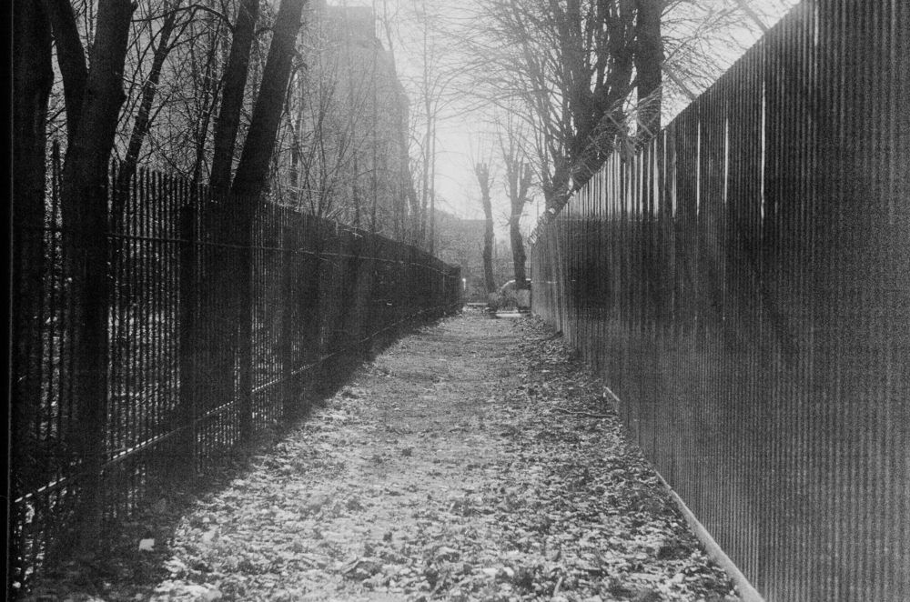 Степень свободы