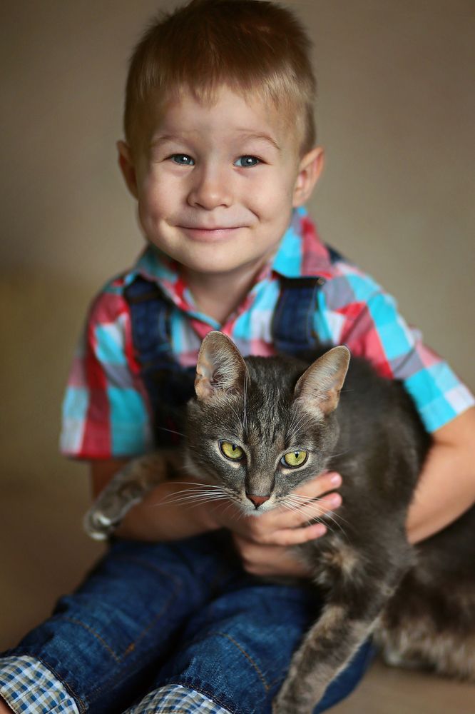 Мальчик с кошкой