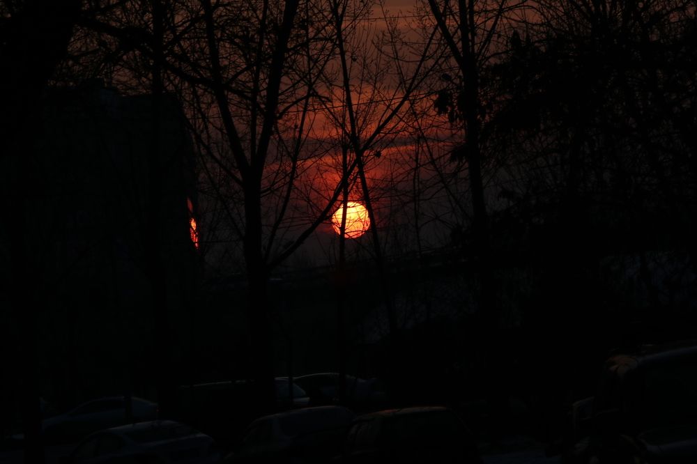 Photograph by Роман Шустиков