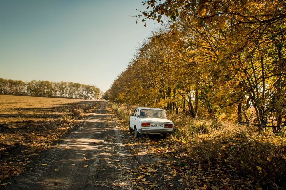 Осень- как ты красив..