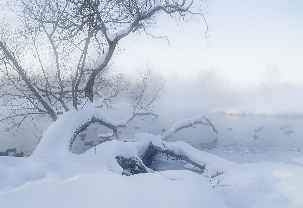 Наступление тумана....