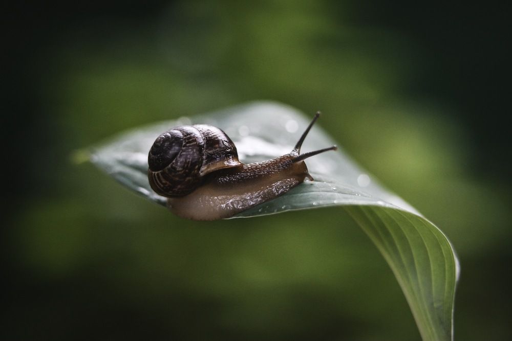 Photograph by Елена Александрова