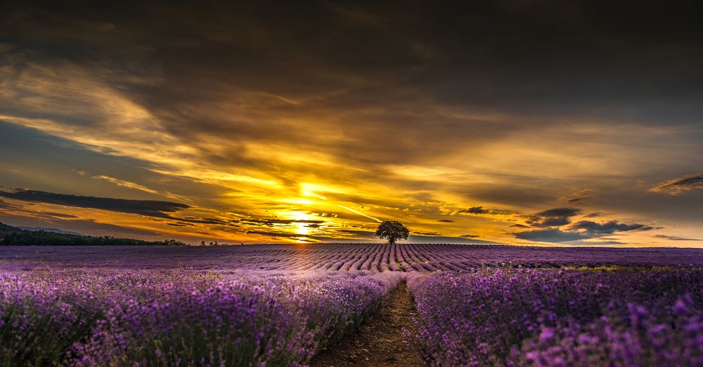 Photograph by Venelin Dimitrov