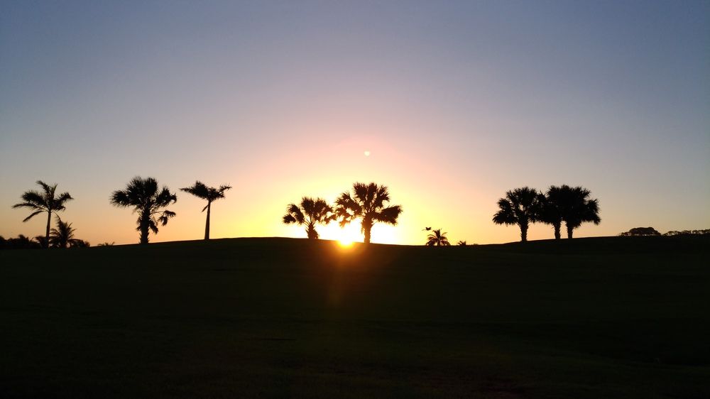 Sundown View