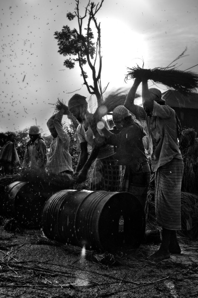 Daily lifestyle of a village people