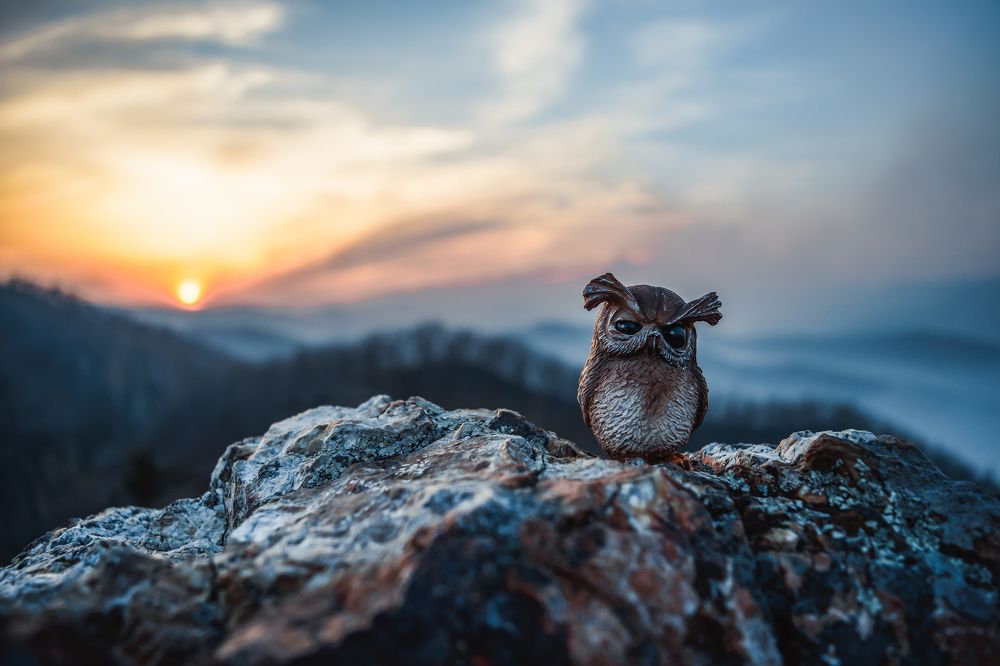 Закат в дыму