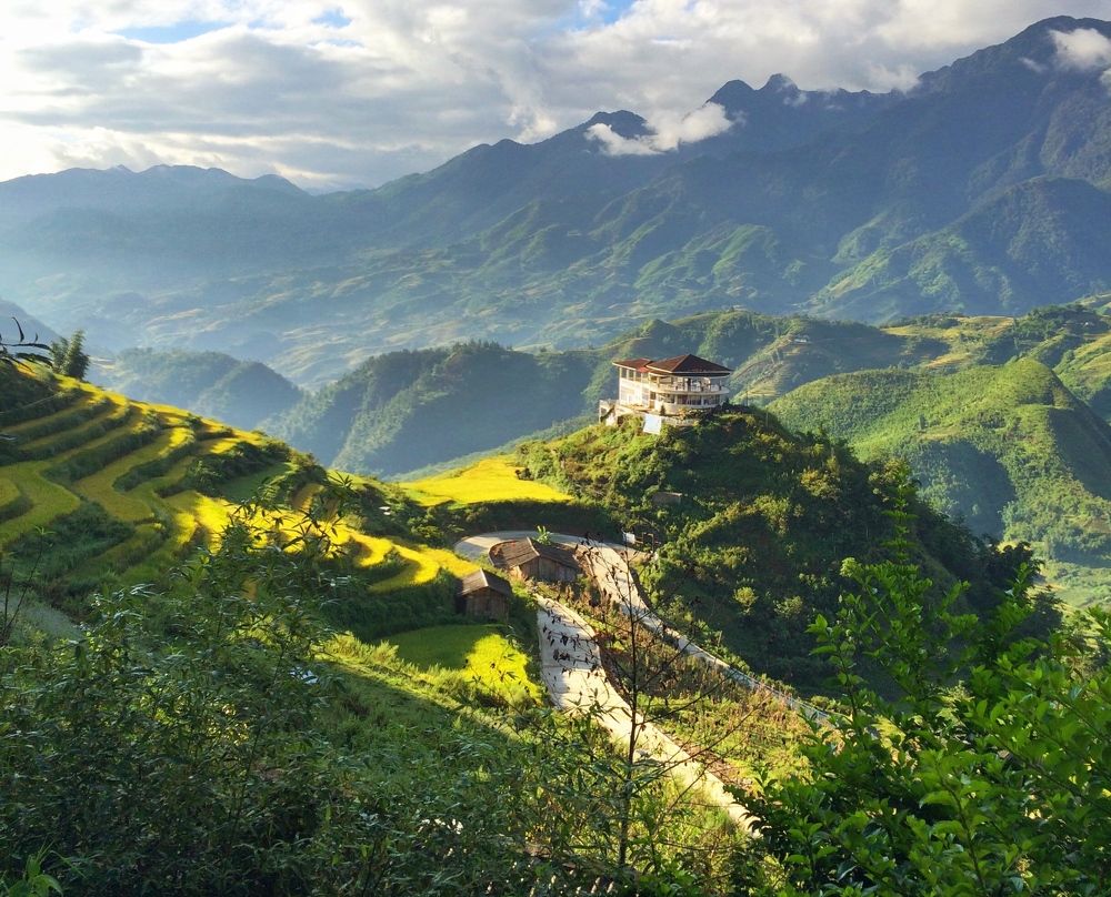 The one and yellow season