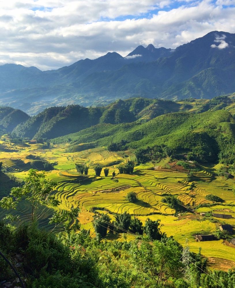 The valley of yellow season