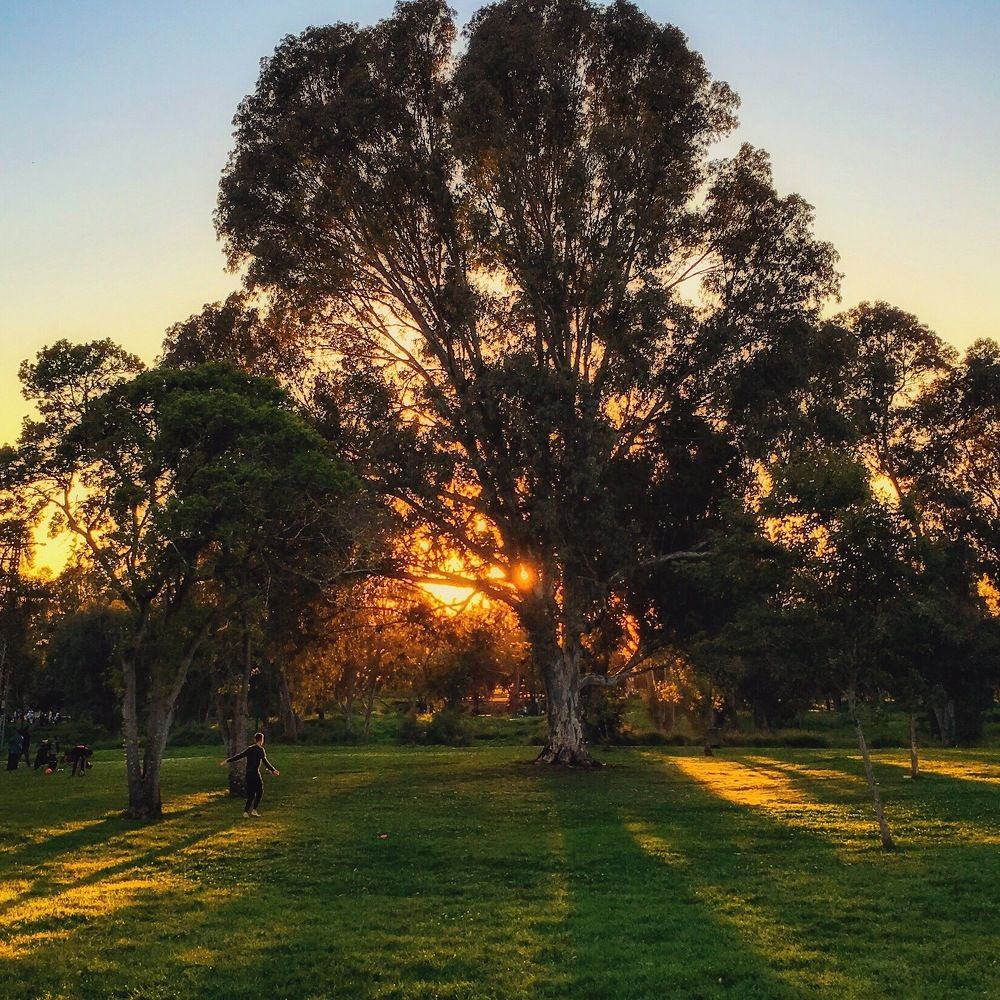 Photograph by Олег Стратиенко