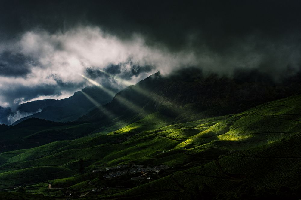 Rays of Hope