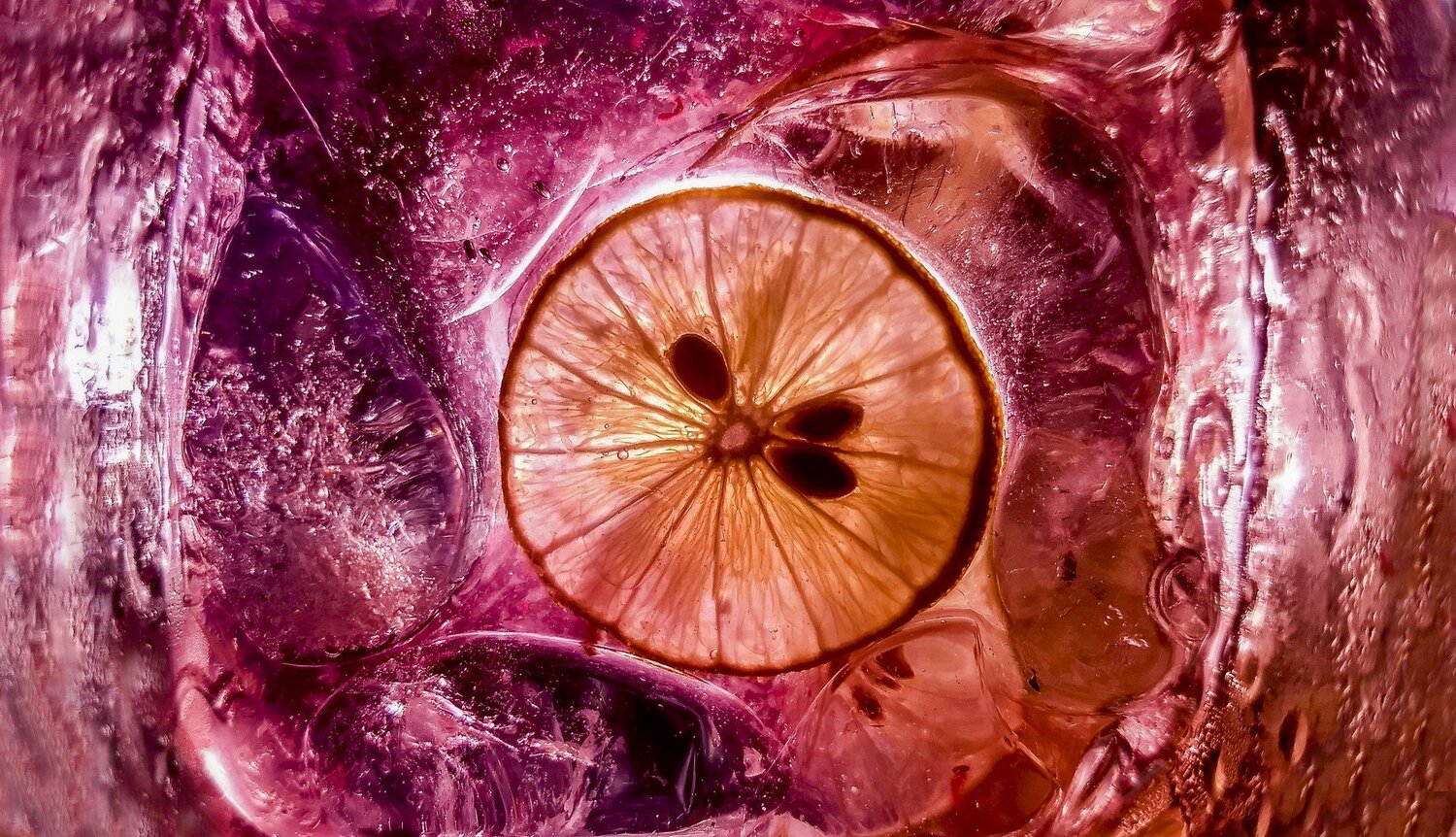 Lemon slice