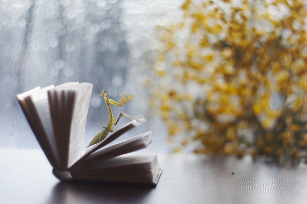 начитанная личность:))