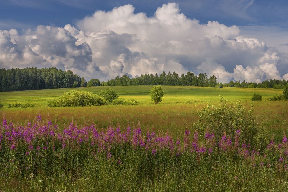 Июльский день.