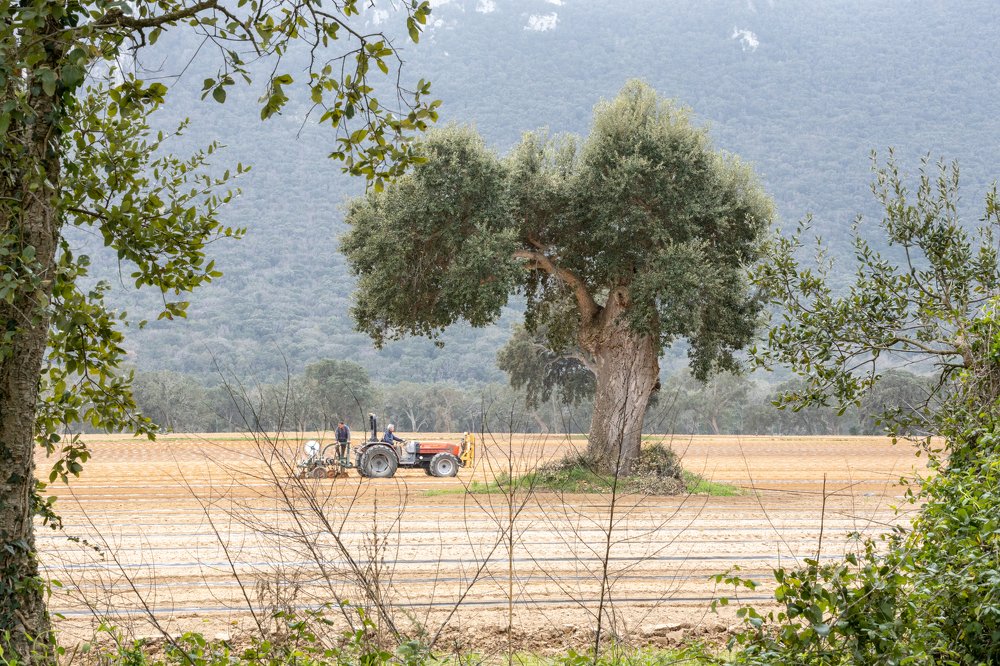Весна. Полевые работы.