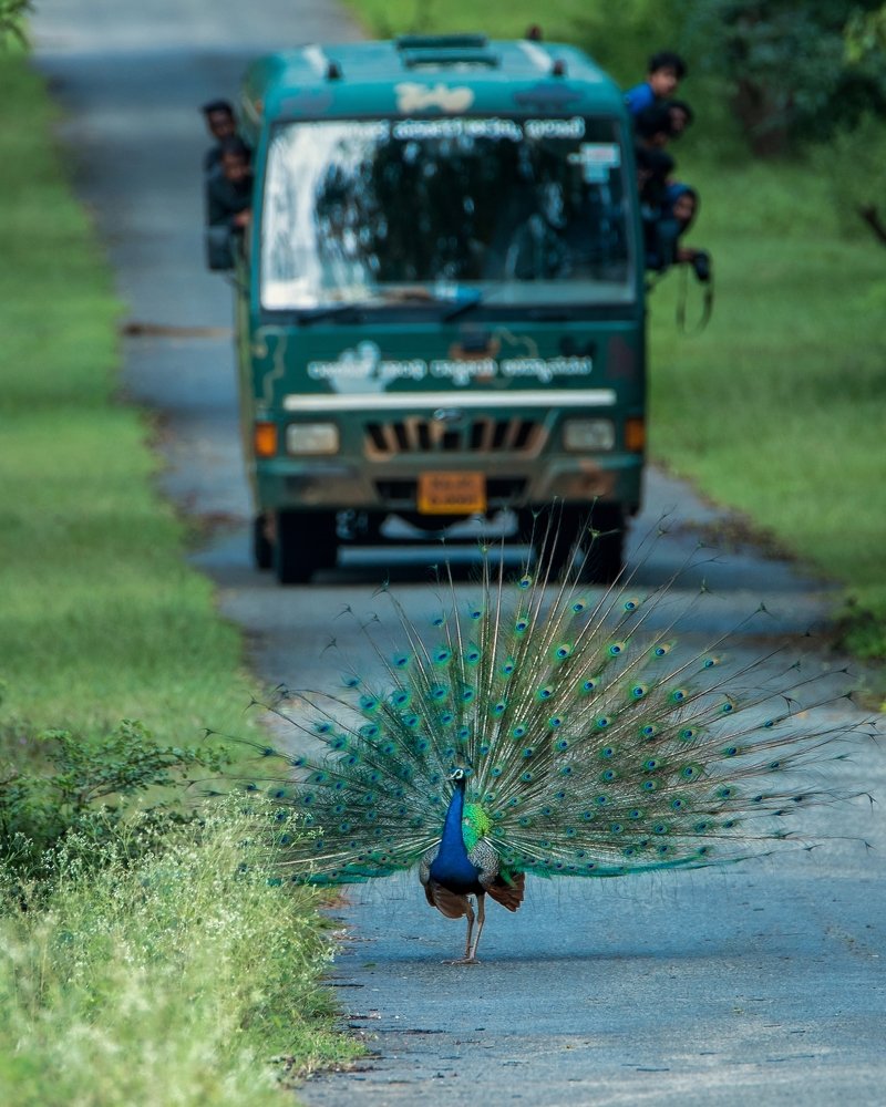 A Beautiful Encounter