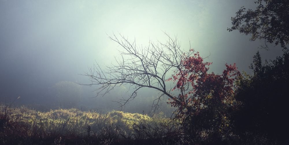 Ne­ver fear sha­dows, for sha­dows on­ly mean the­re is a light shi­ning so­mewhe­re near by.