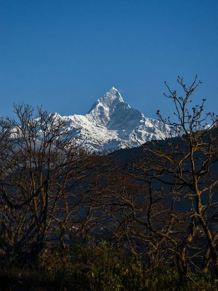 Photograph by sujan maharjan