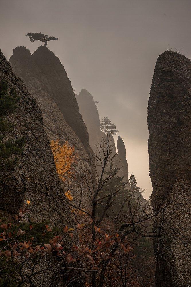 Демерджи. Туман.