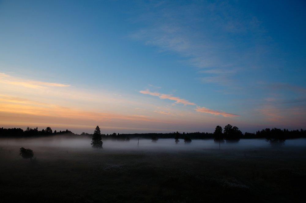 Туманное утро