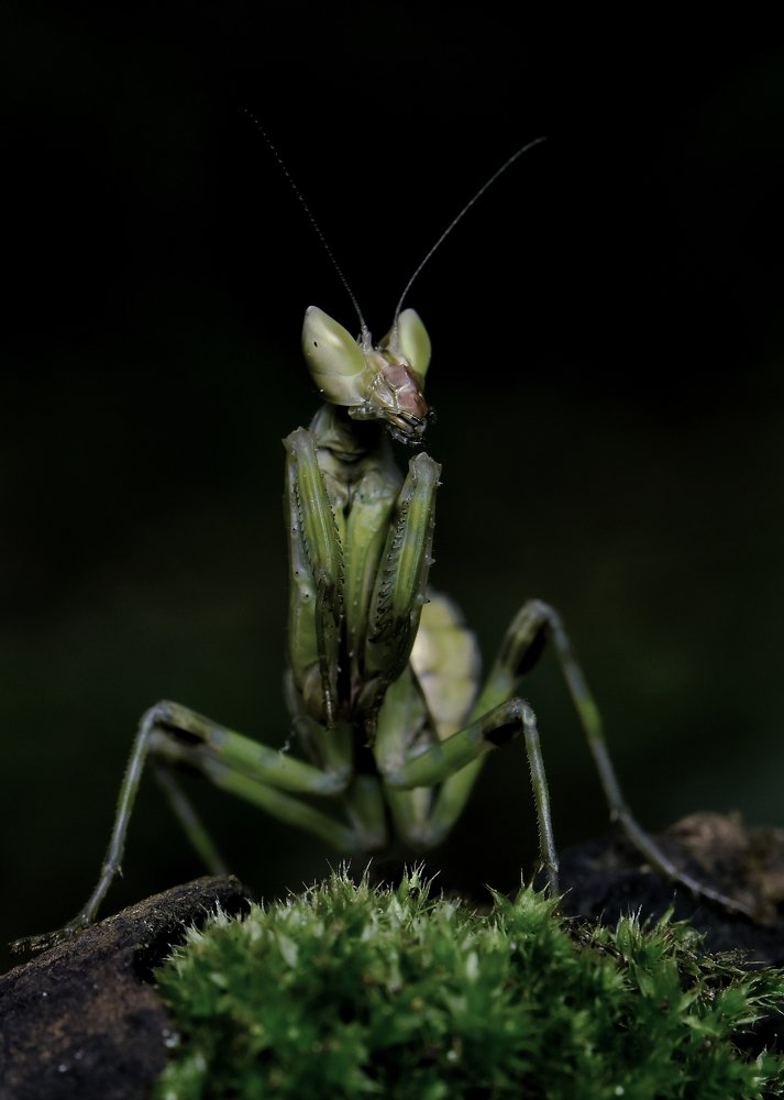 i am alone but i am happy