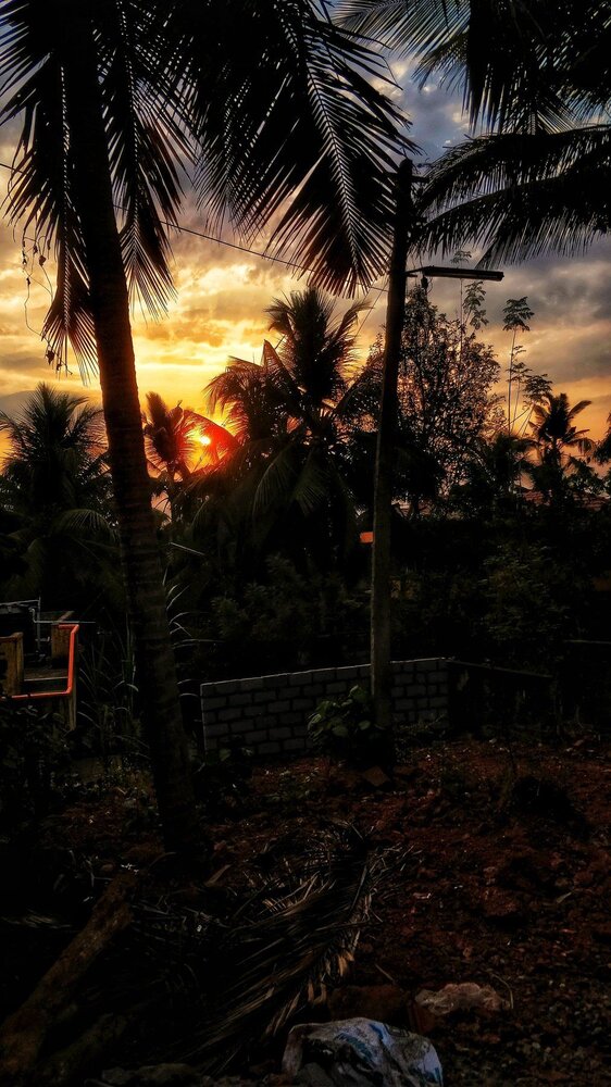 Nature's beauty
