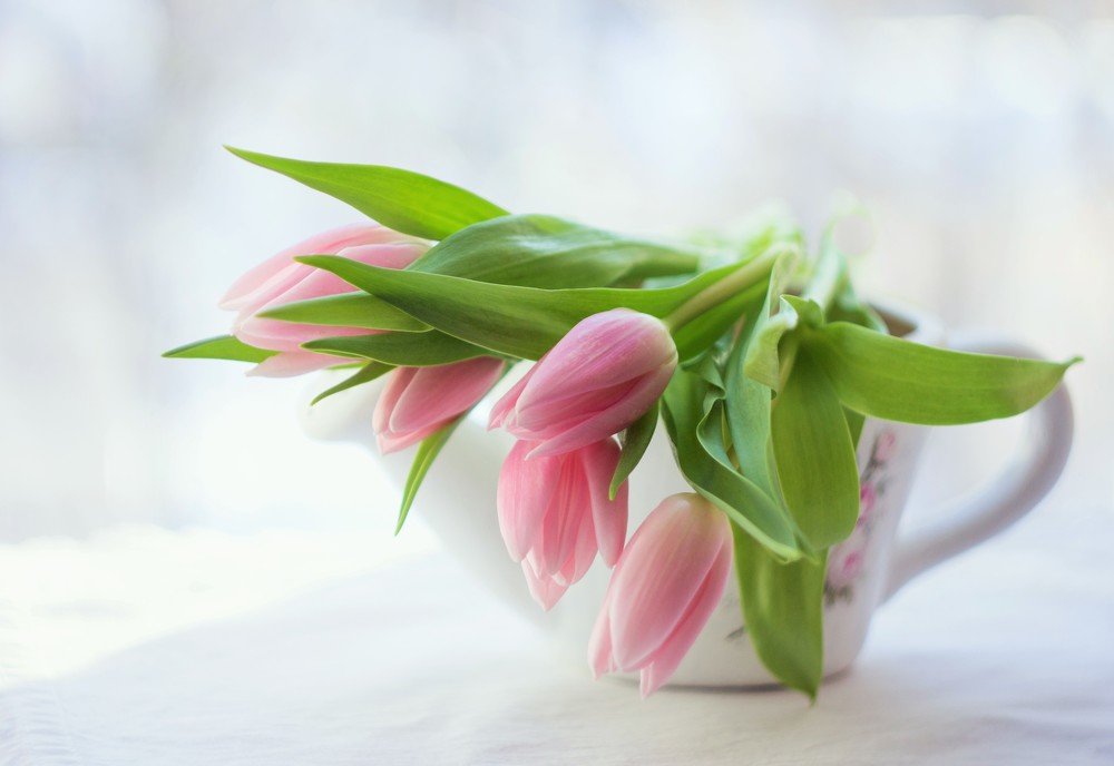 Photograph by Александра Шайдурова