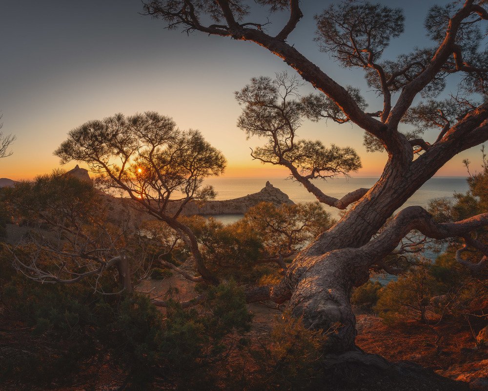 Каждый день разный и по-своему прекрасный рассвет в Новом свете. Караул-Оба и мыс Капчик.