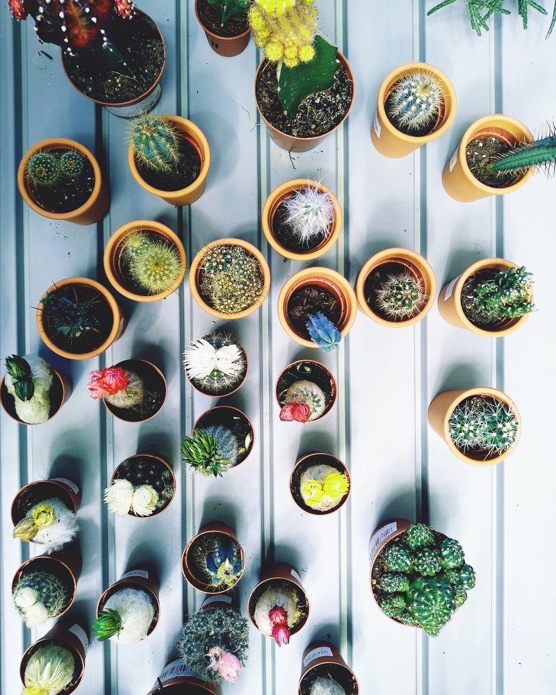 Колючая остановка.