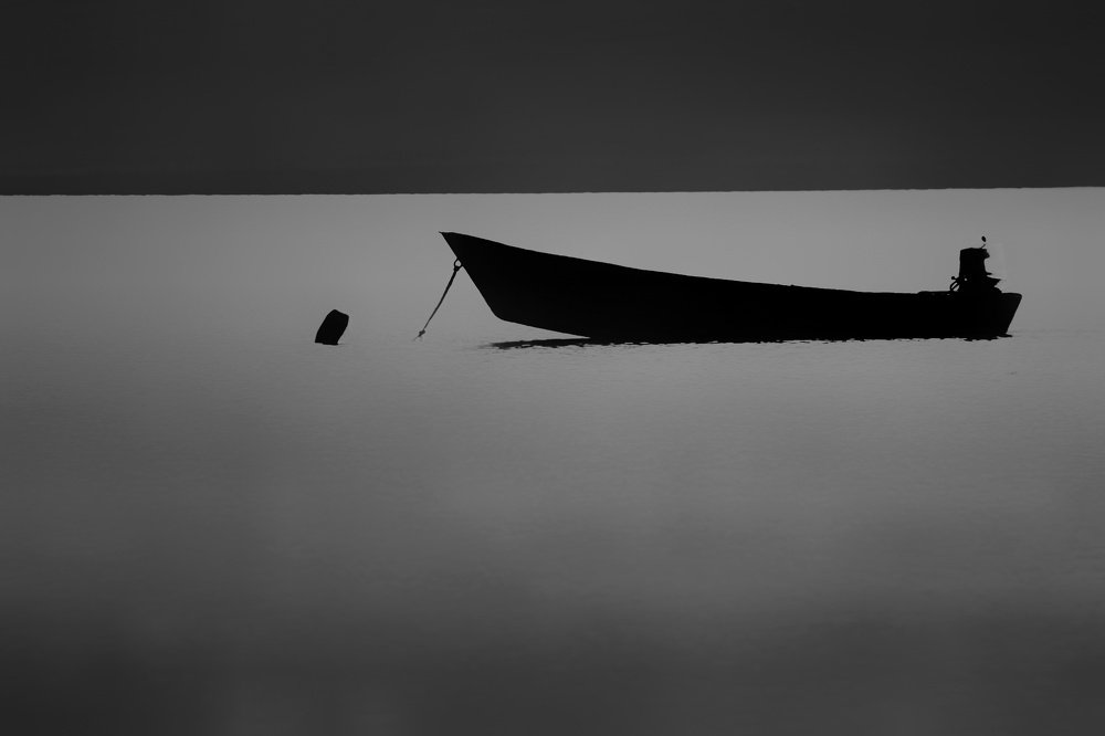 Photograph by diako rafiei