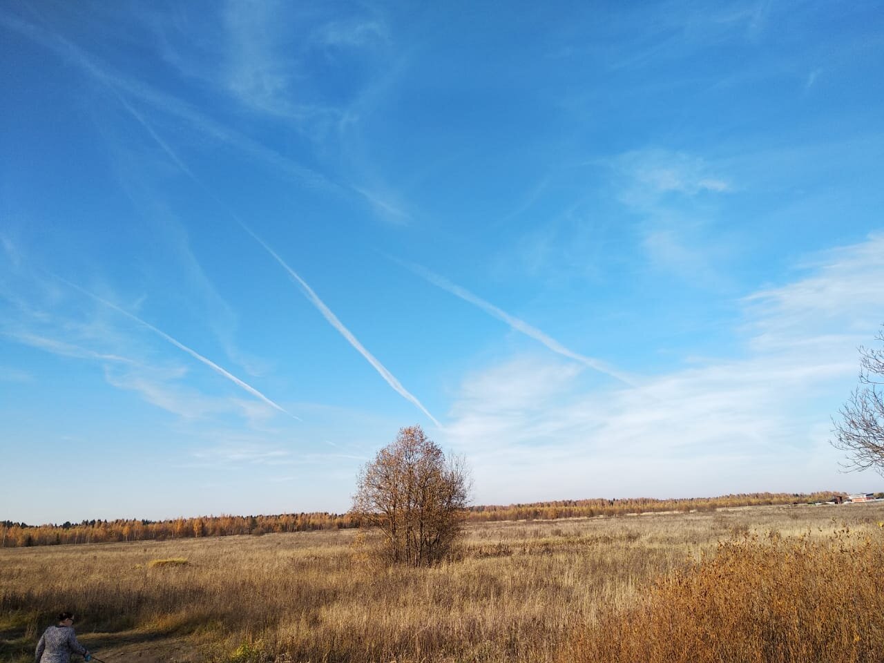 Небо в полоску