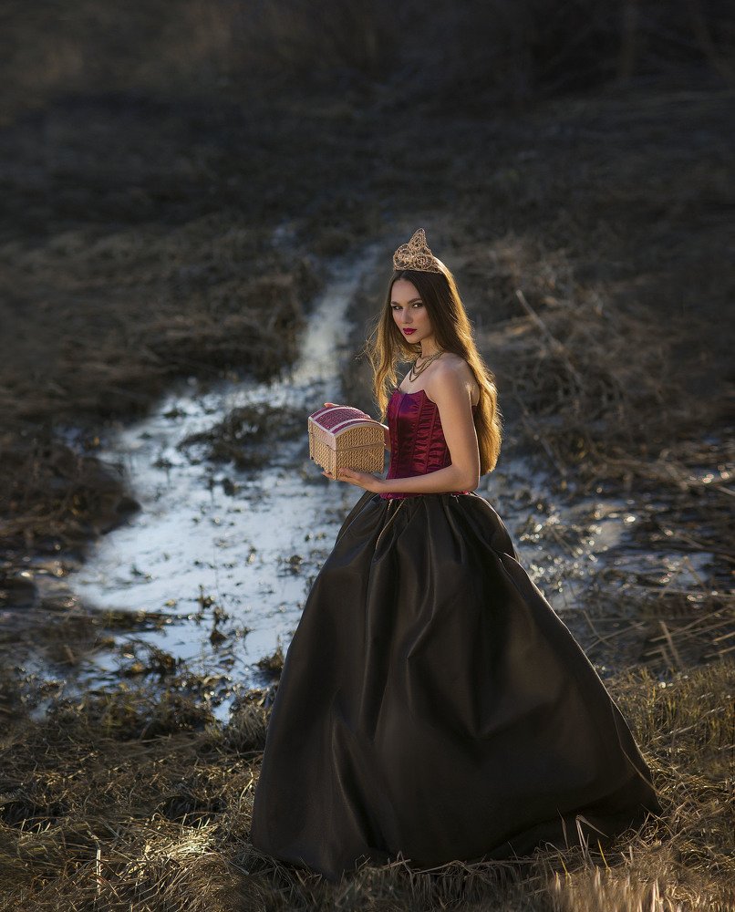 Принцесса Нуаль