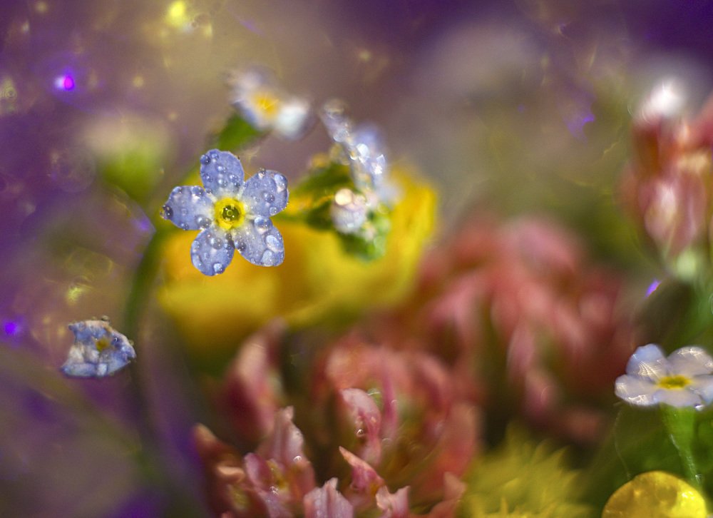 Весеннее настроение