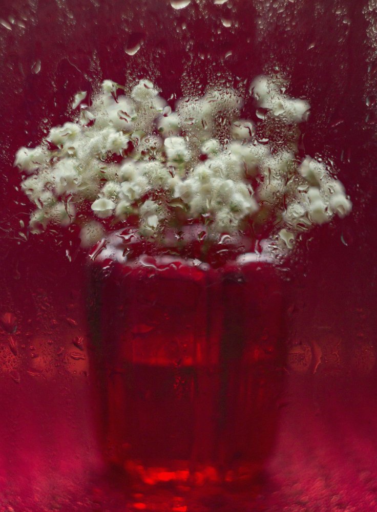 Photograph by Ирина Галеева