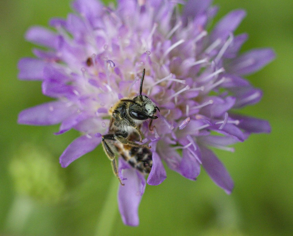 Photograph by Ирина Галеева