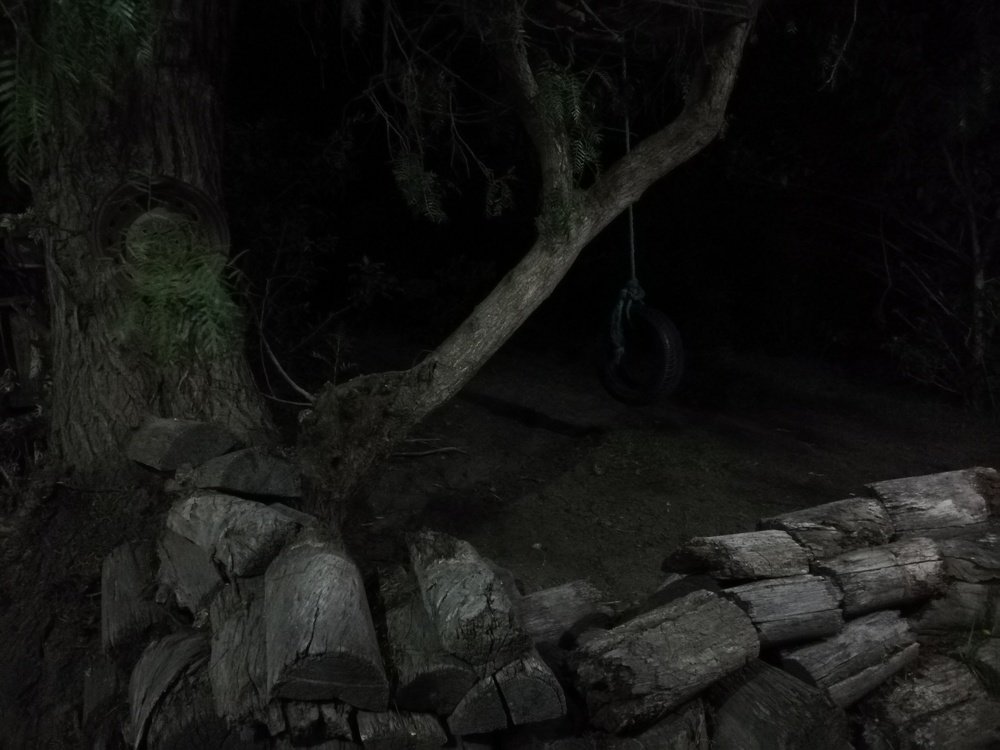 Hondura nocturna