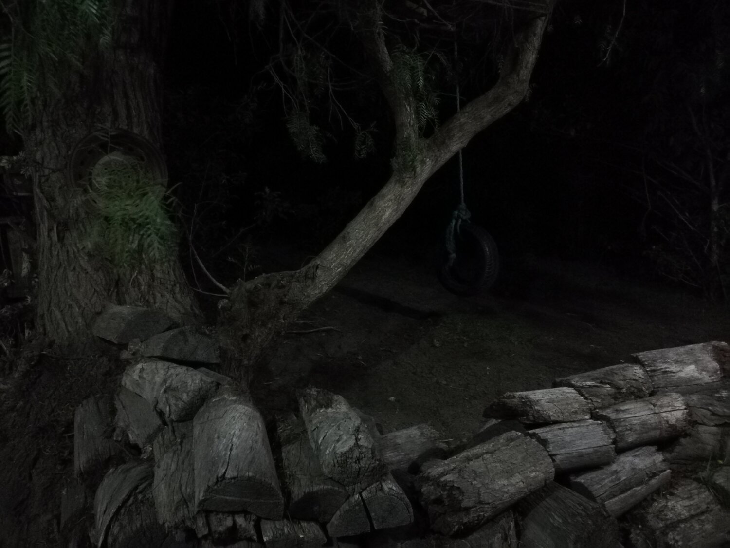 Hondura nocturna