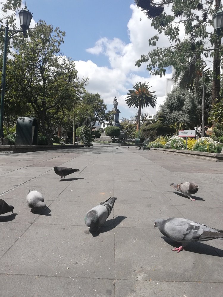 Parque Montalvo